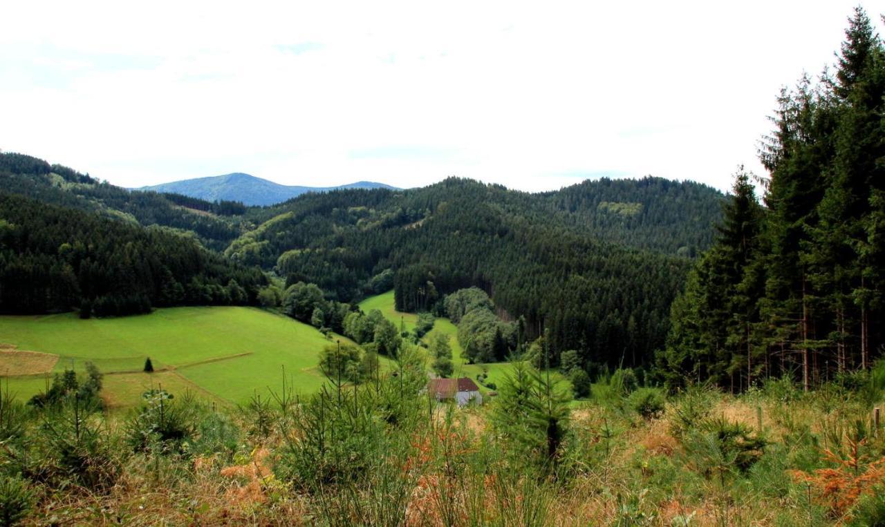 Gemuetliches Haus Im Herzen Des Schwarzwaldes Fuer Bis Zu 9 Personen Elzach Eksteriør bilde