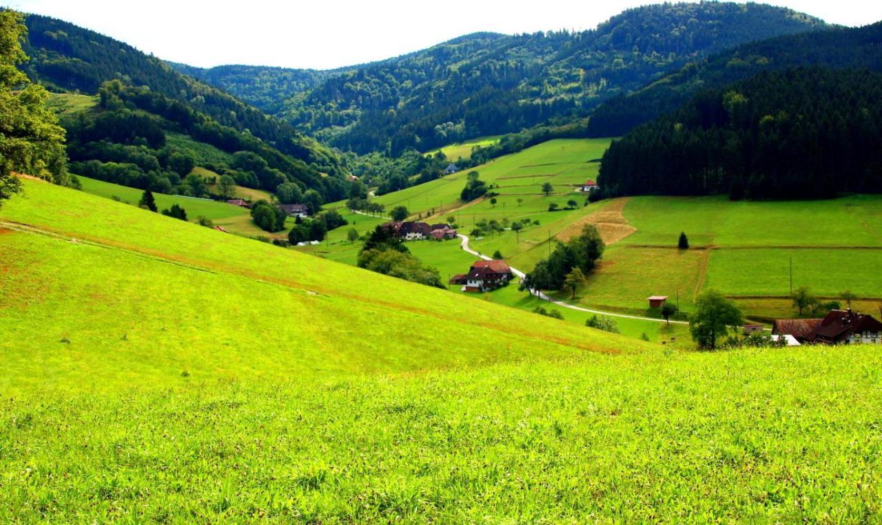 Gemuetliches Haus Im Herzen Des Schwarzwaldes Fuer Bis Zu 9 Personen Elzach Eksteriør bilde